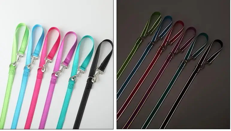 Hundeleine, reflektierende Doppelleinen für Hunde, zum Gehen, Nylon, Hundeleine, Walker, multifunktionale Hundeleinen für Trainingszubehör