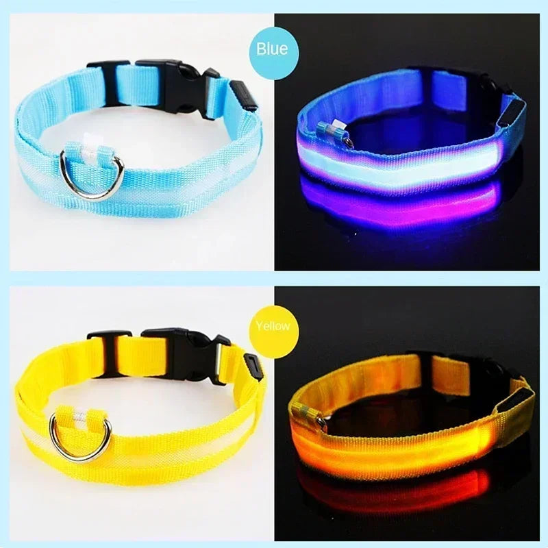 Hundehalsband mit LED-Leuchten, verstellbar, blinkend, wiederaufladbar, leuchtendes Halsband, Nacht-Anti-Verlust-Hundelichtgeschirr für kleine Hunde