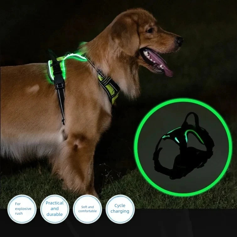 LED-leuchtende, leuchtende Hundegeschirre, unverzichtbar für Hunde, Sicherheit bei Nacht, Hundeweste mit drei wiederaufladbaren LED-Lichtmodi