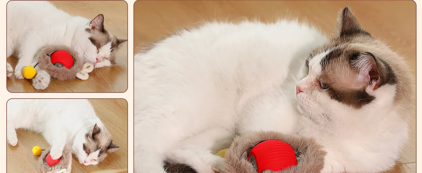 Interaktives Katzenspielzeug, automatischer rollender Ball mit Schwanz, wiederaufladbares intelligentes interaktives Haustierspielzeug, intelligentes Spielzeug für Katzen