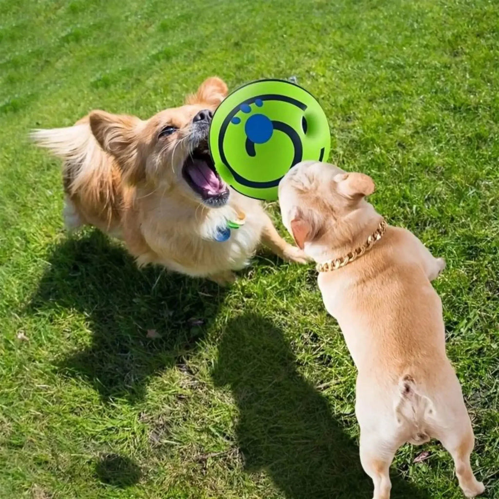 Haustier-Hundespielzeugball, Wackelwagen, Giggle, schallisierender Leuchtball, interaktives Hundespielzeug, lustiges Spiel- und Beweglichkeitstraining für drinnen und draußen