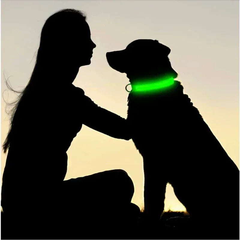 Hundehalsband mit LED-Leuchten, verstellbar, blinkend, wiederaufladbar, leuchtendes Halsband, Nacht-Anti-Verlust-Hundelichtgeschirr für kleine Hunde