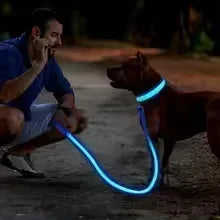 Hundehalsband mit LED-Leuchten, verstellbar, blinkend, wiederaufladbar, leuchtendes Halsband, Nacht-Anti-Verlust-Hundelichtgeschirr für kleine Hunde
