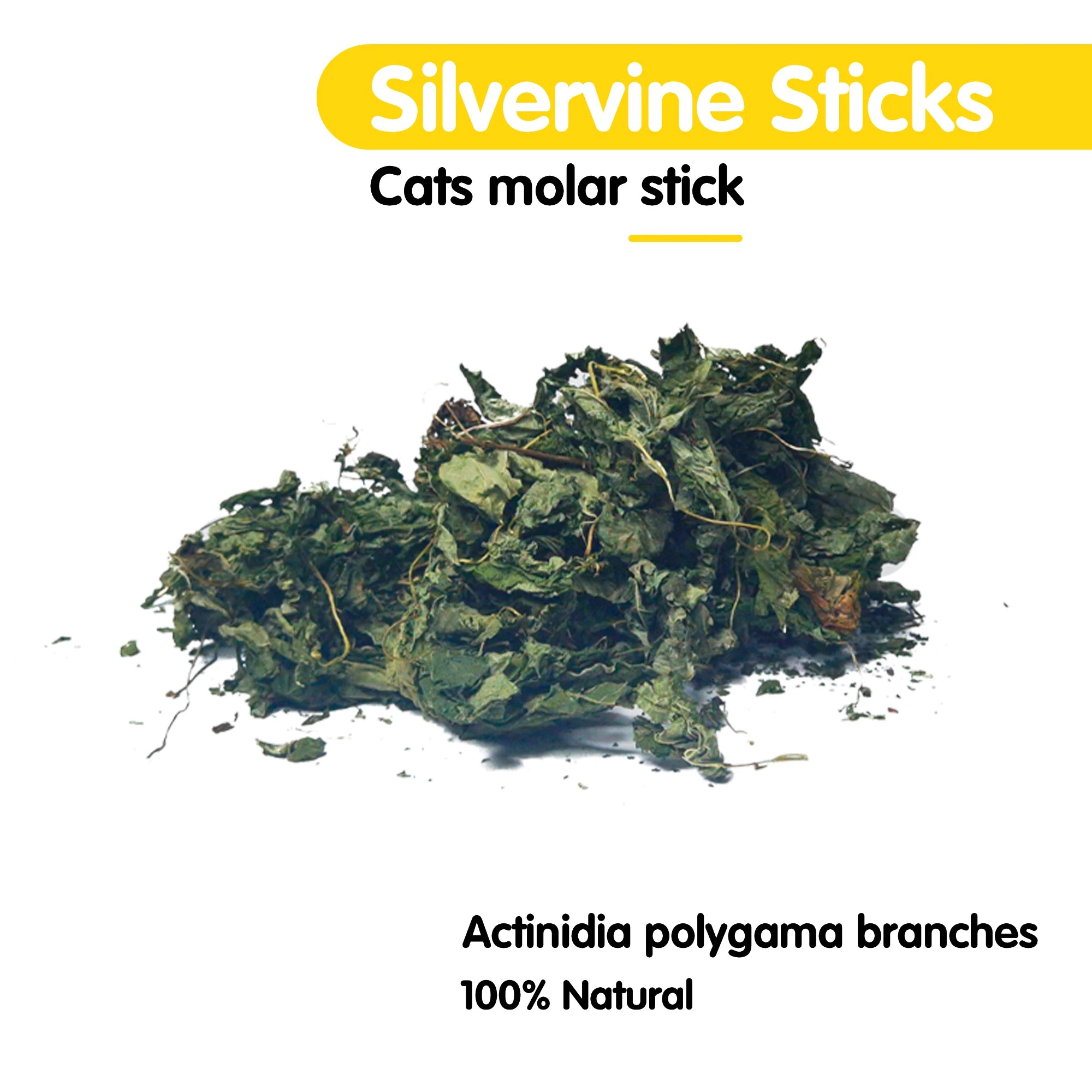 Oitabi 500 g Silvervine Kaublätter Matatabi Katzenminze Interaktives Spielzeug für Kätzchen im Innenbereich Zahnen Molaren Kauspielzeug für Katzen