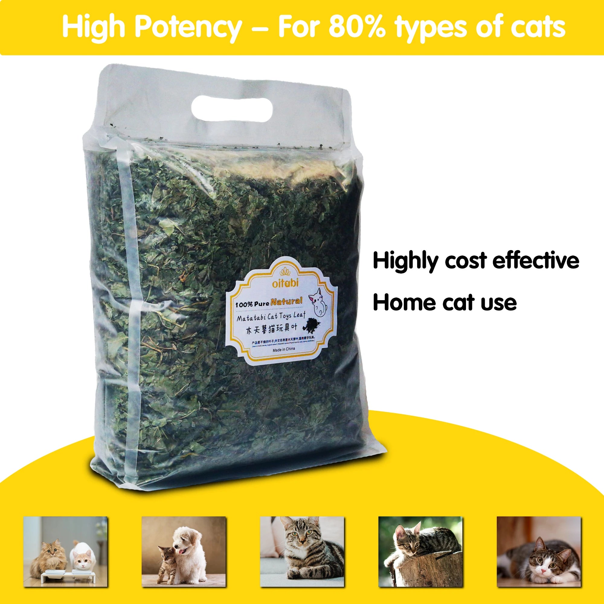 Oitabi 500 g Silvervine Kaublätter Matatabi Katzenminze Interaktives Spielzeug für Kätzchen im Innenbereich Zahnen Molaren Kauspielzeug für Katzen