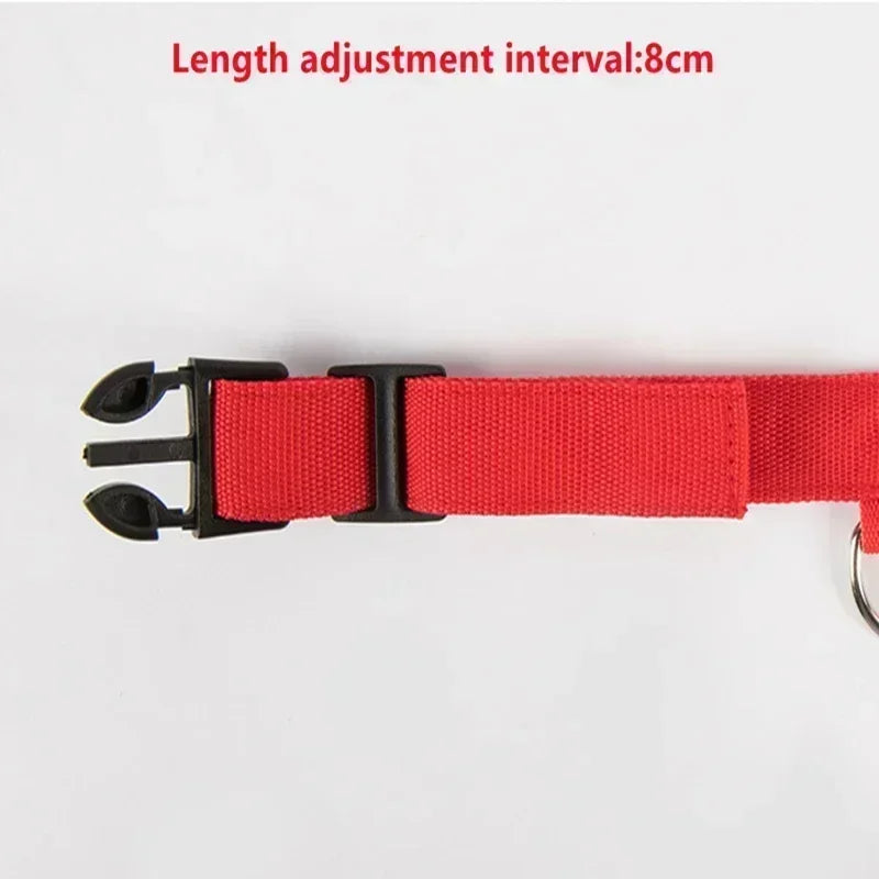 Hundehalsband mit LED-Leuchten, verstellbar, blinkend, wiederaufladbar, leuchtendes Halsband, Nacht-Anti-Verlust-Hundelichtgeschirr für kleine Hunde