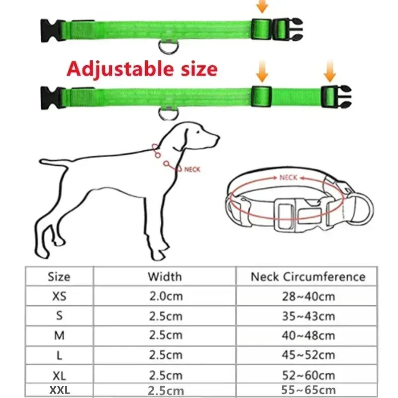Hundehalsband mit LED-Leuchten, verstellbar, blinkend, wiederaufladbar, leuchtendes Halsband, Nacht-Anti-Verlust-Hundelichtgeschirr für kleine Hunde