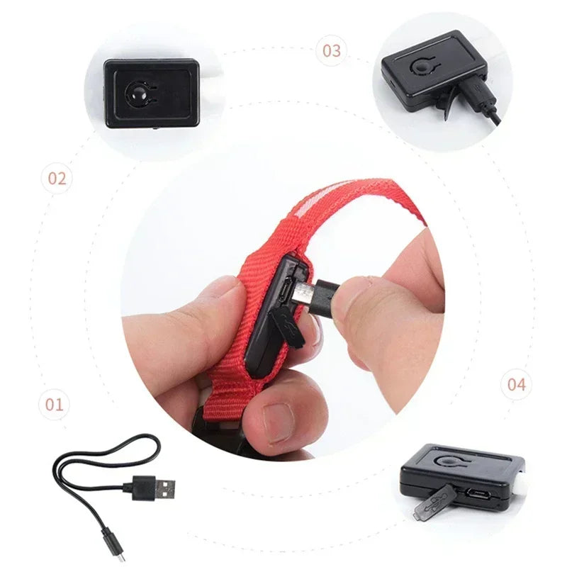 Hundehalsband mit LED-Leuchten, verstellbar, blinkend, wiederaufladbar, leuchtendes Halsband, Nacht-Anti-Verlust-Hundelichtgeschirr für kleine Hunde