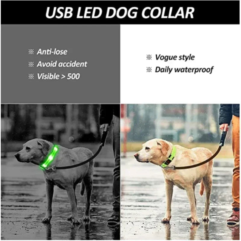 Hundehalsband mit LED-Leuchten, verstellbar, blinkend, wiederaufladbar, leuchtendes Halsband, Nacht-Anti-Verlust-Hundelichtgeschirr für kleine Hunde