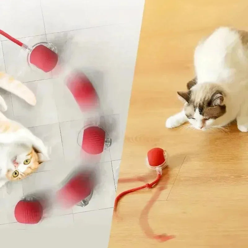 Interaktives Ballspielzeug für Katzen, automatischer rollender Ball mit Schwanz, entspannbares intelligentes interaktives Haustierspielzeug, intelligente Maus für Katzen