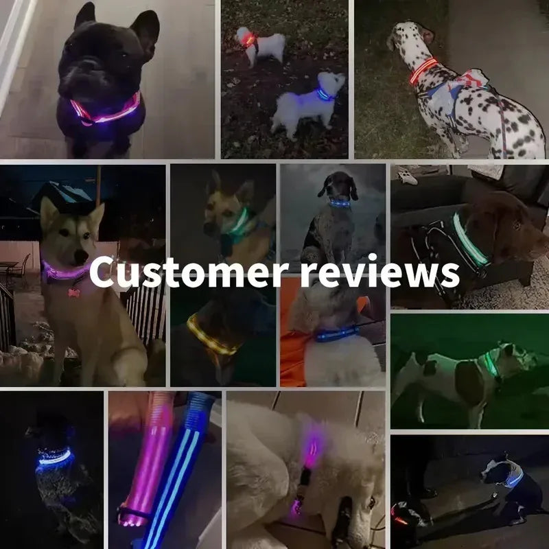 Hundehalsband mit LED-Leuchten, verstellbar, blinkend, wiederaufladbar, leuchtendes Halsband, Nacht-Anti-Verlust-Hundelichtgeschirr für kleine Hunde