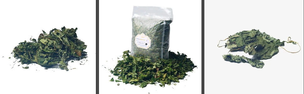 Oitabi 500 g Silvervine Kaublätter Matatabi Katzenminze Interaktives Spielzeug für Kätzchen im Innenbereich Zahnen Molaren Kauspielzeug für Katzen