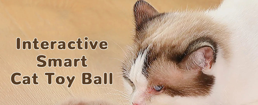 Interaktives Katzenspielzeug, automatischer rollender Ball mit Schwanz, wiederaufladbares intelligentes interaktives Haustierspielzeug, intelligentes Spielzeug für Katzen