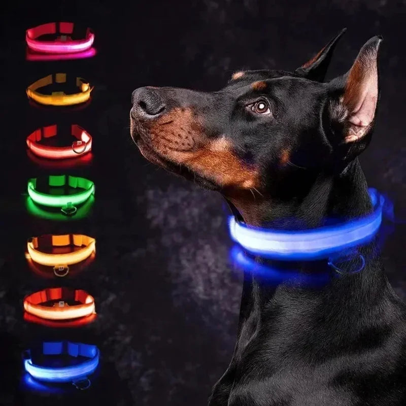Hundehalsband mit LED-Leuchten, verstellbar, blinkend, wiederaufladbar, leuchtendes Halsband, Nacht-Anti-Verlust-Hundelichtgeschirr für kleine Hunde