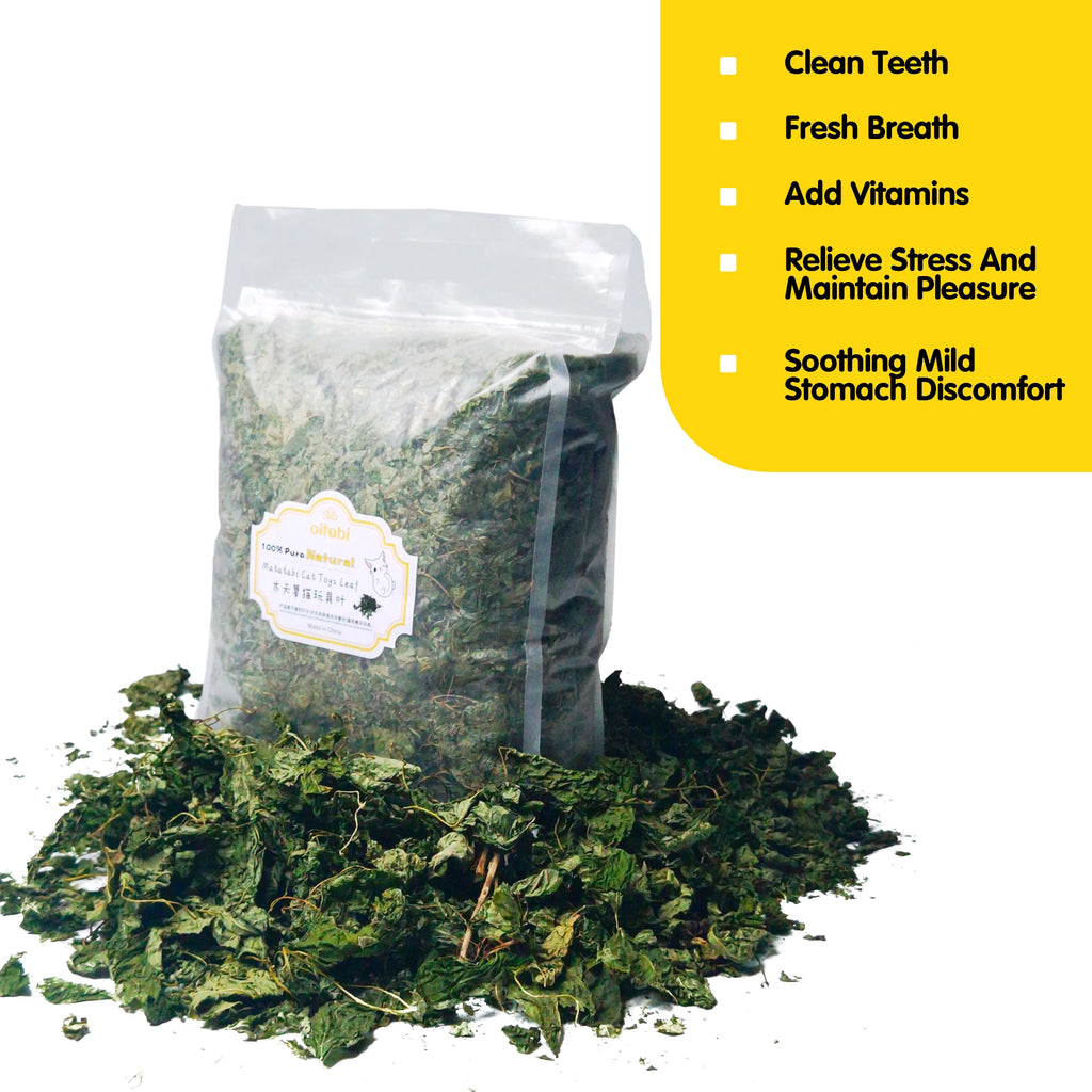Oitabi 500 g Silvervine Kaublätter Matatabi Katzenminze Interaktives Spielzeug für Kätzchen im Innenbereich Zahnen Molaren Kauspielzeug für Katzen