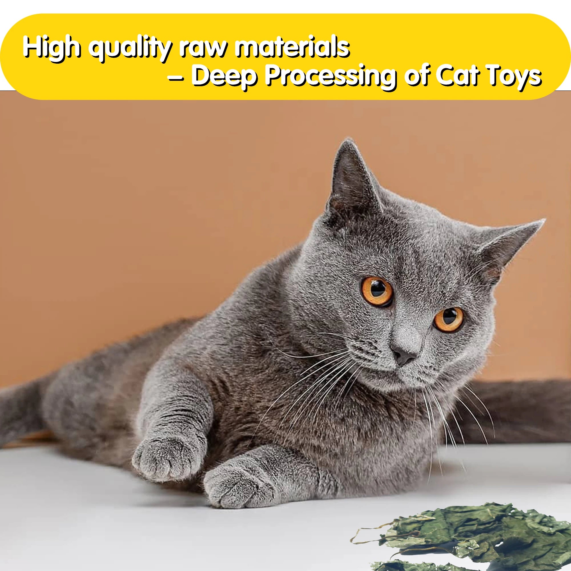 Oitabi 500 g Silvervine Kaublätter Matatabi Katzenminze Interaktives Spielzeug für Kätzchen im Innenbereich Zahnen Molaren Kauspielzeug für Katzen