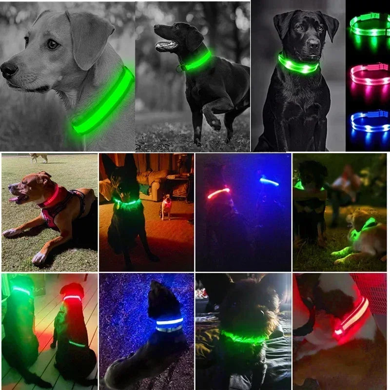 Hundehalsband mit LED-Leuchten, verstellbar, blinkend, wiederaufladbar, leuchtendes Halsband, Nacht-Anti-Verlust-Hundelichtgeschirr für kleine Hunde