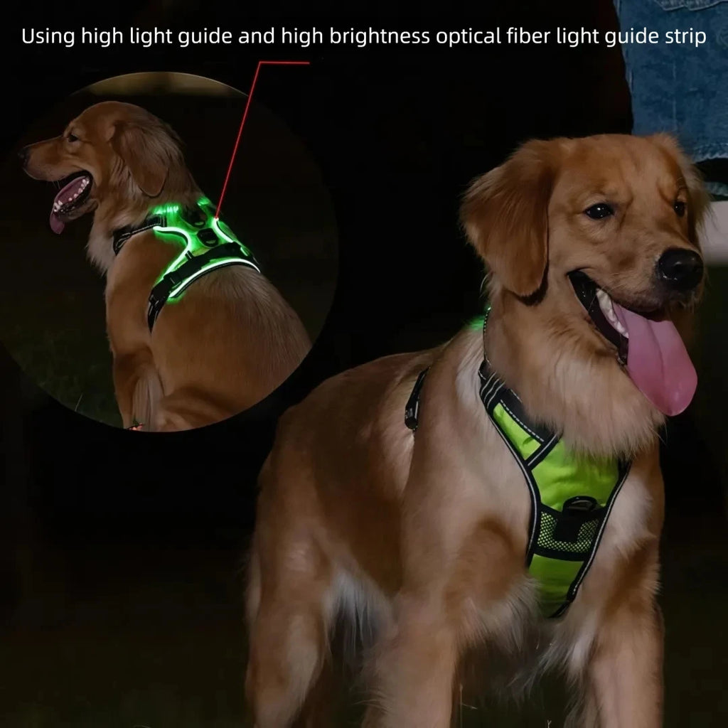 LED-leuchtende, leuchtende Hundegeschirre, unverzichtbar für Hunde, Sicherheit bei Nacht, Hundeweste mit drei wiederaufladbaren LED-Lichtmodi